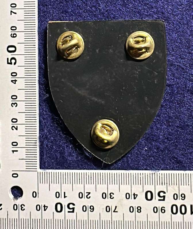 SWATF 913 Battalion Metal Arm Flash - 3 pins