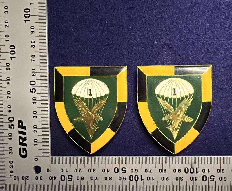 SADF -1 Parachute Battalion Arm Flash - Set