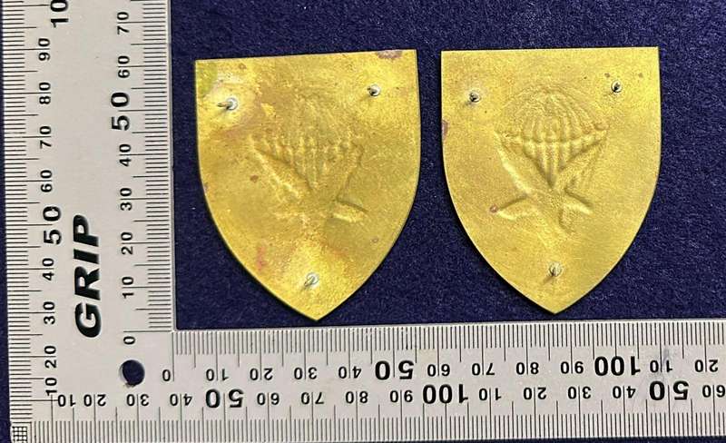 SADF -1 Parachute Battalion Arm Flash - Set