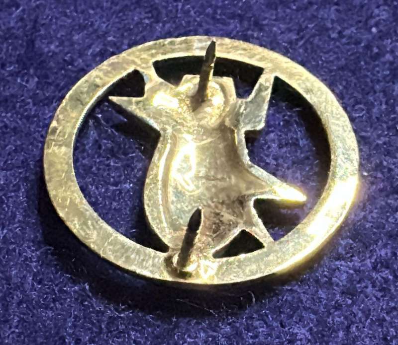 SADF / SANDF ... EOD (BOMB DISPOSAL) QUALIFICATION BADGE - Full size