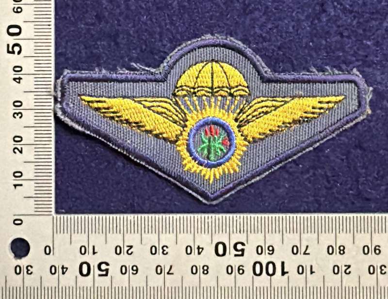 SAP, Special Task Force - Parachute wing Blue - Embroidered