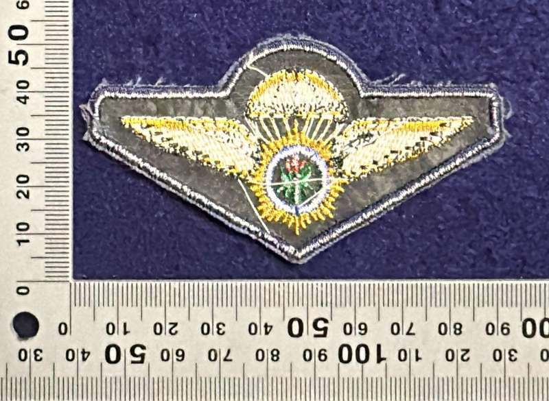 SAP, Special Task Force - Parachute wing Blue - Embroidered