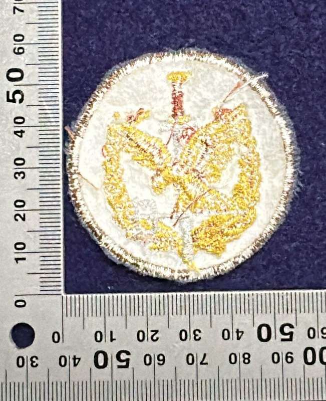 SAP, Special Task Force - Operator Qualification Badge Blue - Embroidered
