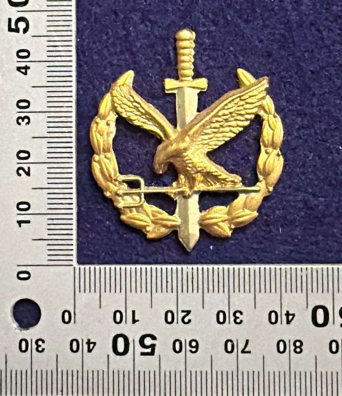 SAP Taskforce Operator Qualification Badge - Metal (no pins)