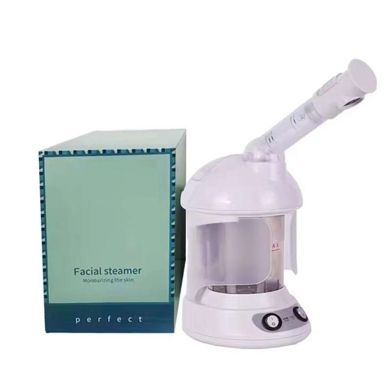 Facial steamer