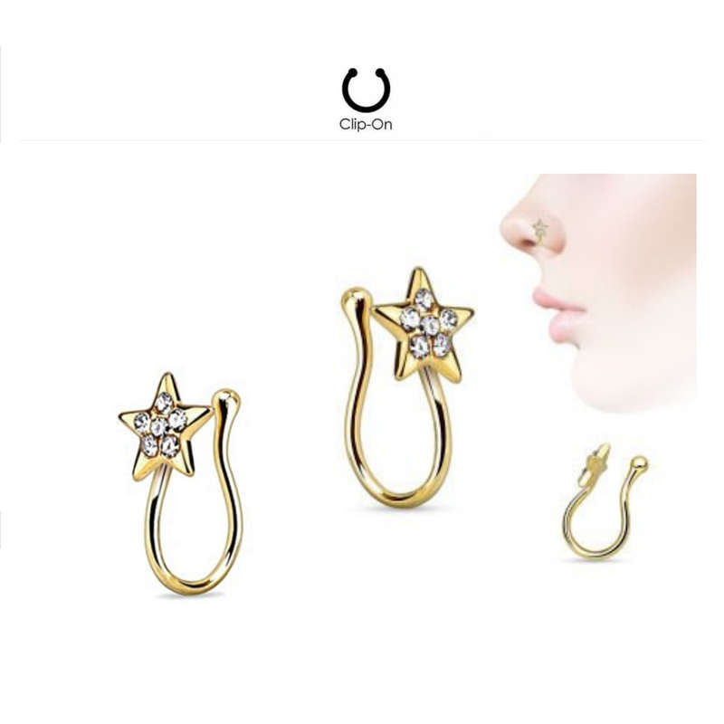 Clip ON Nose Ring
