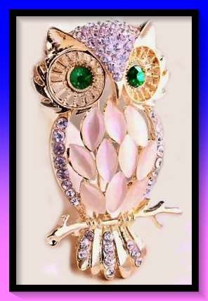 Amazing owl design lapel pin brooch