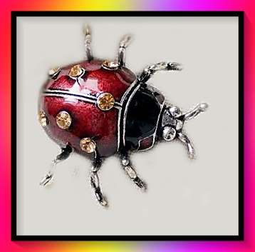 Gorgeous  Ladybird brooch lapel pin