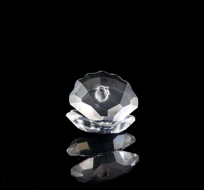 Swarovski Crystal Oyster Shell with a crystal chaton 'pearl' Aquatic Worlds