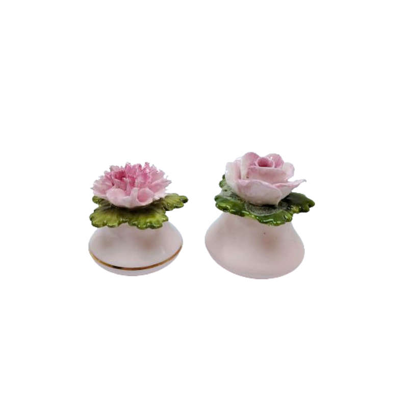 Aynsley Porcelain Rose and Carnation Flower Salt and Pepper Pots