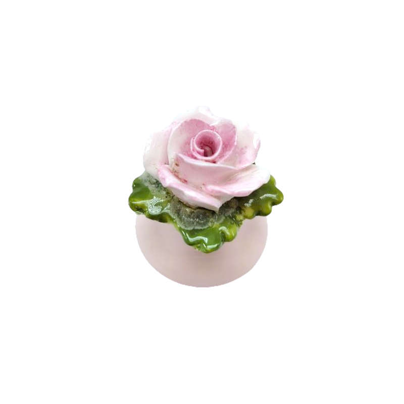 Aynsley Porcelain Rose and Carnation Flower Salt and Pepper Pots