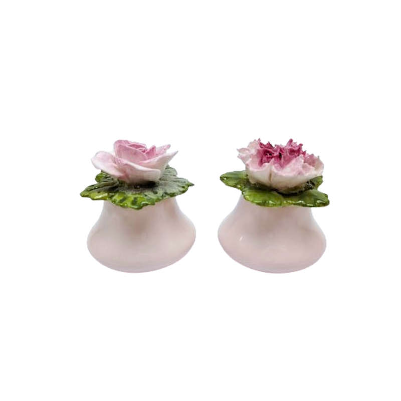 Aynsley Porcelain Rose and Carnation Flower Salt and Pepper Pots