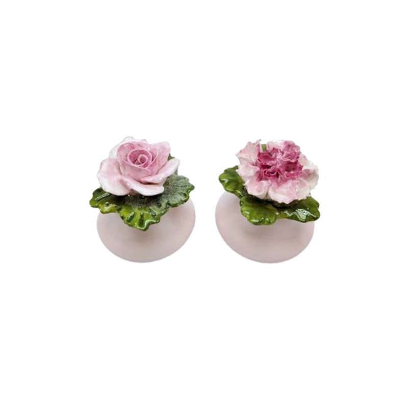 Aynsley Porcelain Rose and Carnation Flower Salt and Pepper Pots