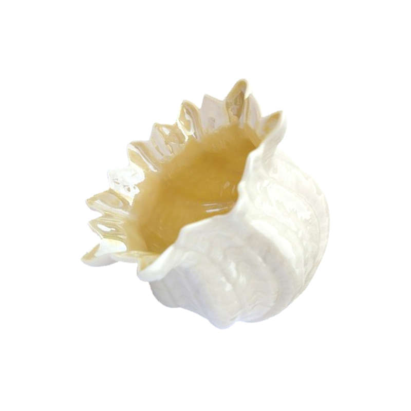 Belleek Irish Porcelain Neptune Sea Shell Pattern Vase