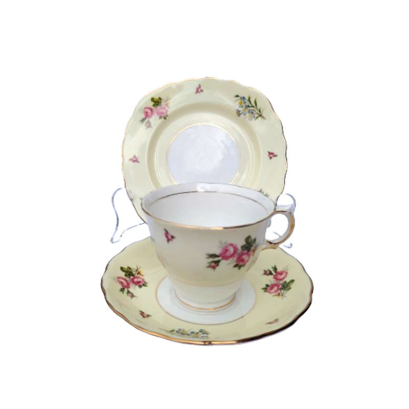 Colclough Tea Set Pale Yellow Bands decorated with colorful flowers