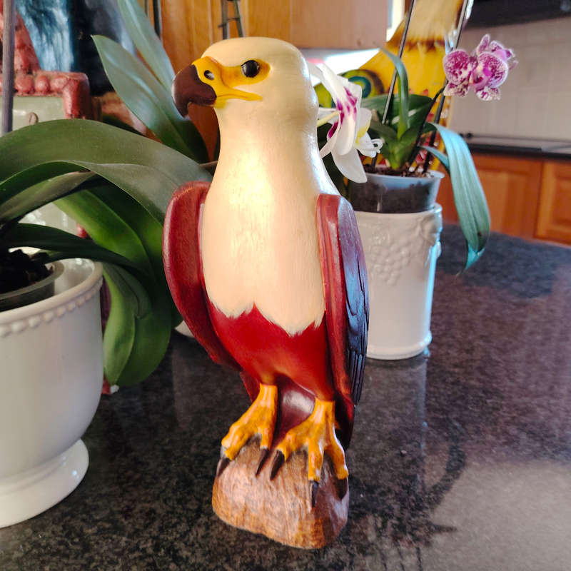 Feathers of Knysna Friends hand painted African Fish Eagle