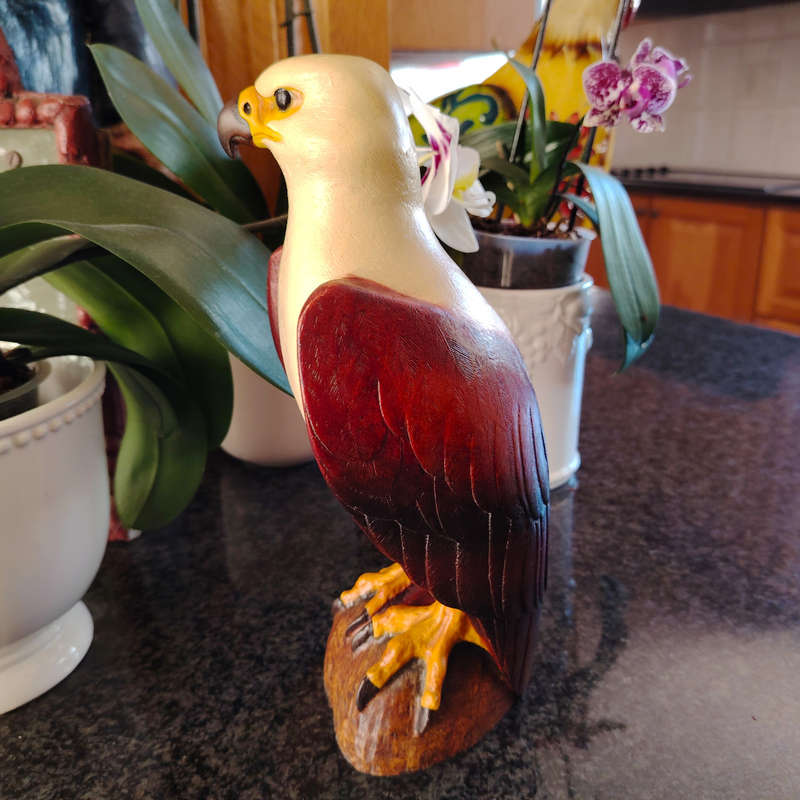 Feathers of Knysna Friends hand painted African Fish Eagle