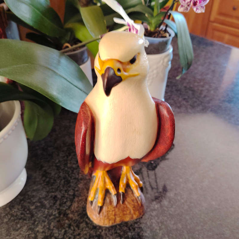 Feathers of Knysna Friends hand painted African Fish Eagle
