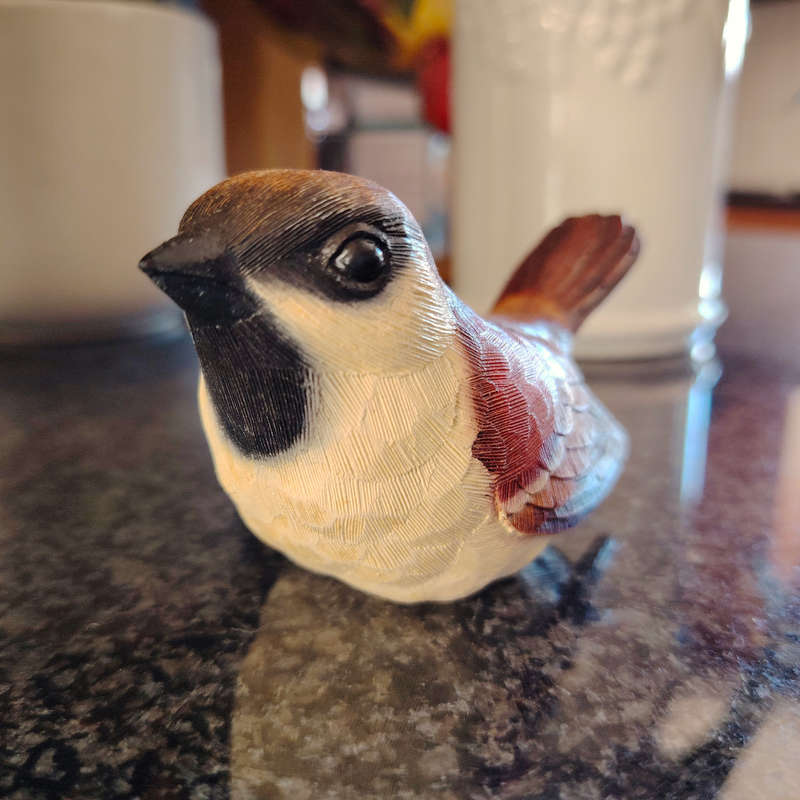 Feathers of Knysna Friends hand painted Sparrow