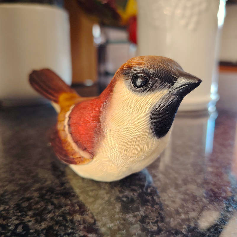 Feathers of Knysna Friends hand painted Sparrow