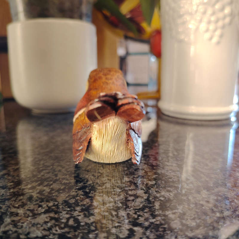 Feathers of Knysna Friends hand painted Sparrow