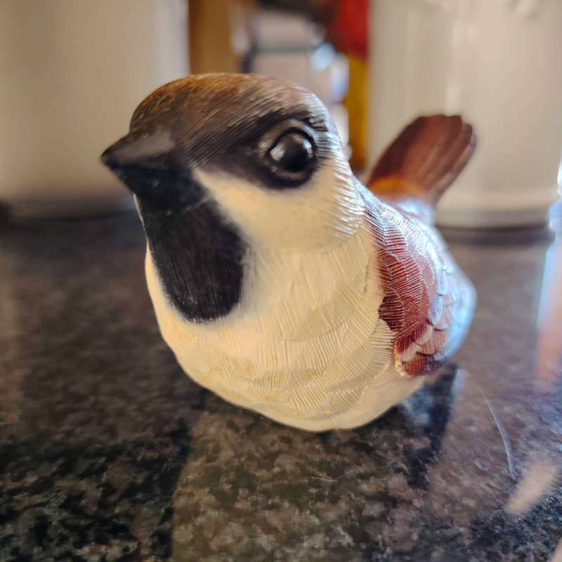 Feathers of Knysna Friends hand painted Sparrow