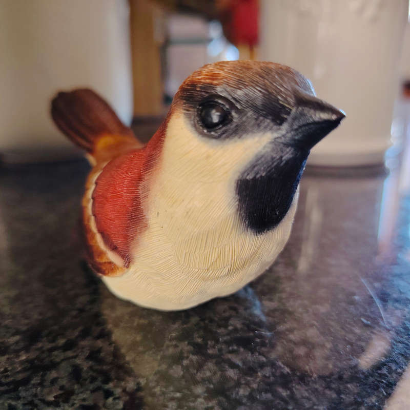 Feathers of Knysna Friends hand painted Sparrow