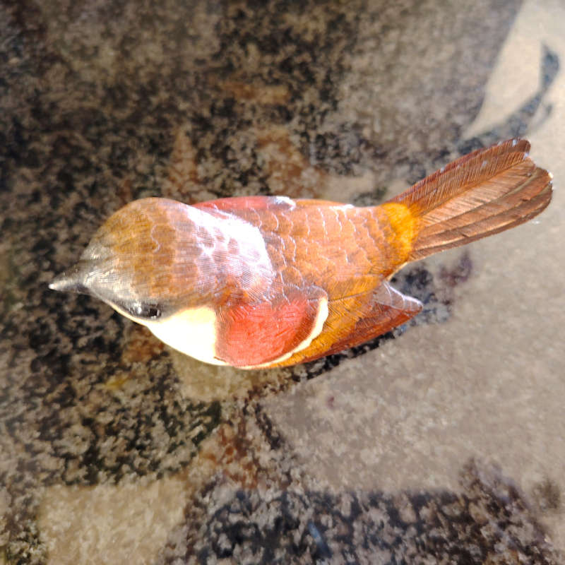 Feathers of Knysna Friends hand painted Sparrow