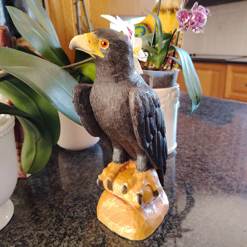 Feathers of Knysna Friends hand painted Black Eagle
