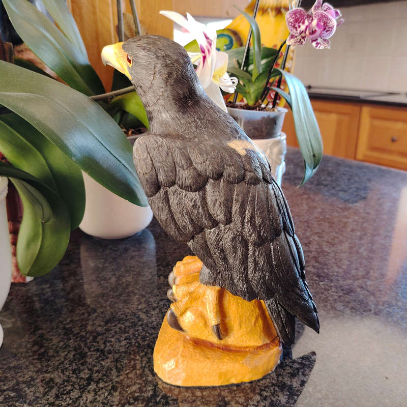 Feathers of Knysna Friends hand painted Black Eagle