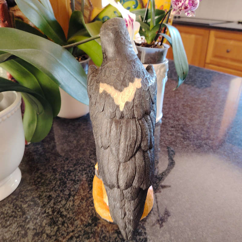 Feathers of Knysna Friends hand painted Black Eagle