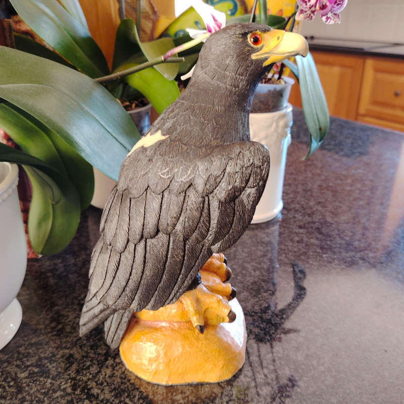 Feathers of Knysna Friends hand painted Black Eagle
