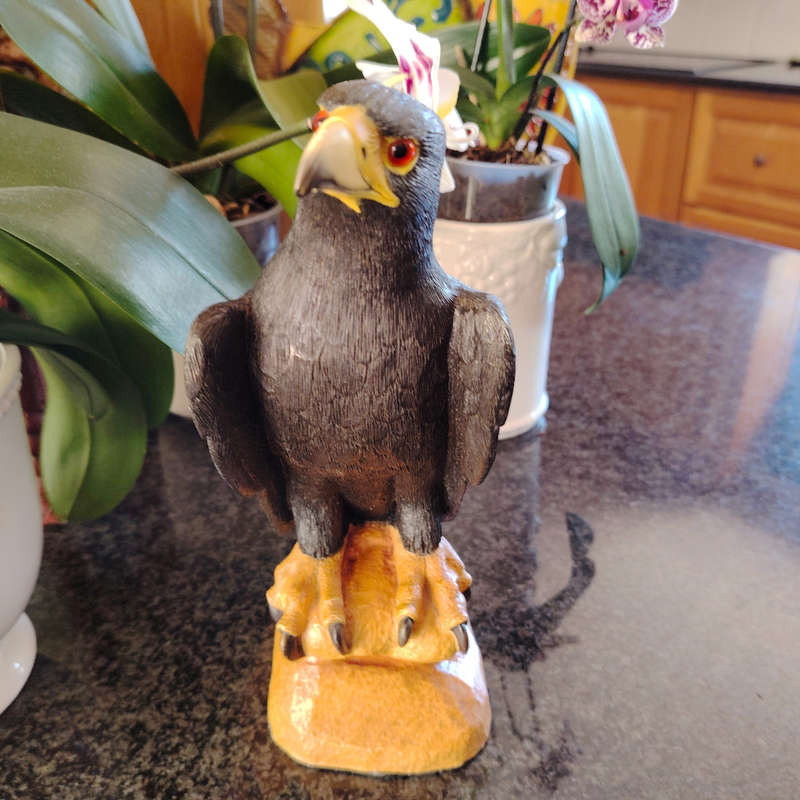 Feathers of Knysna Friends hand painted Black Eagle