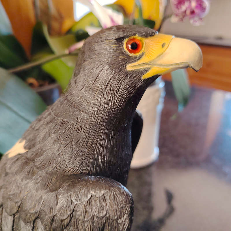 Feathers of Knysna Friends hand painted Black Eagle