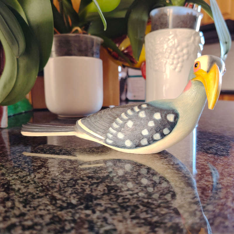 Feathers of Knysna Friends hand painted Yellow Billed Hornbill
