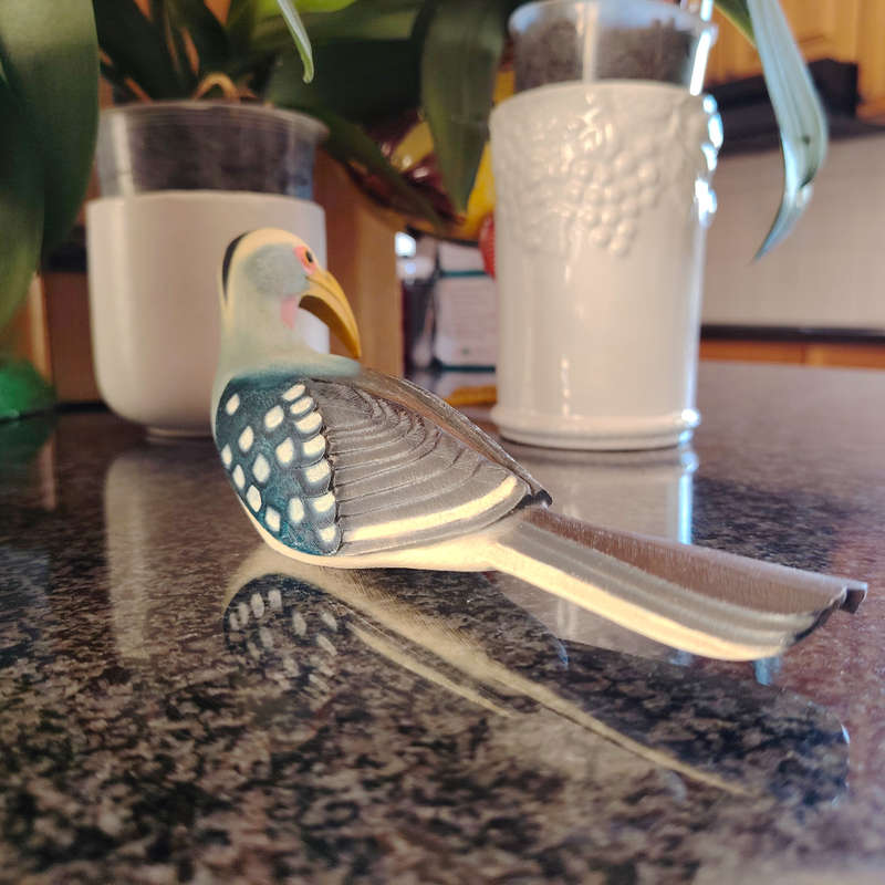 Feathers of Knysna Friends hand painted Yellow Billed Hornbill