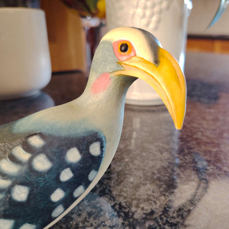 Feathers of Knysna Friends hand painted Yellow Billed Hornbill