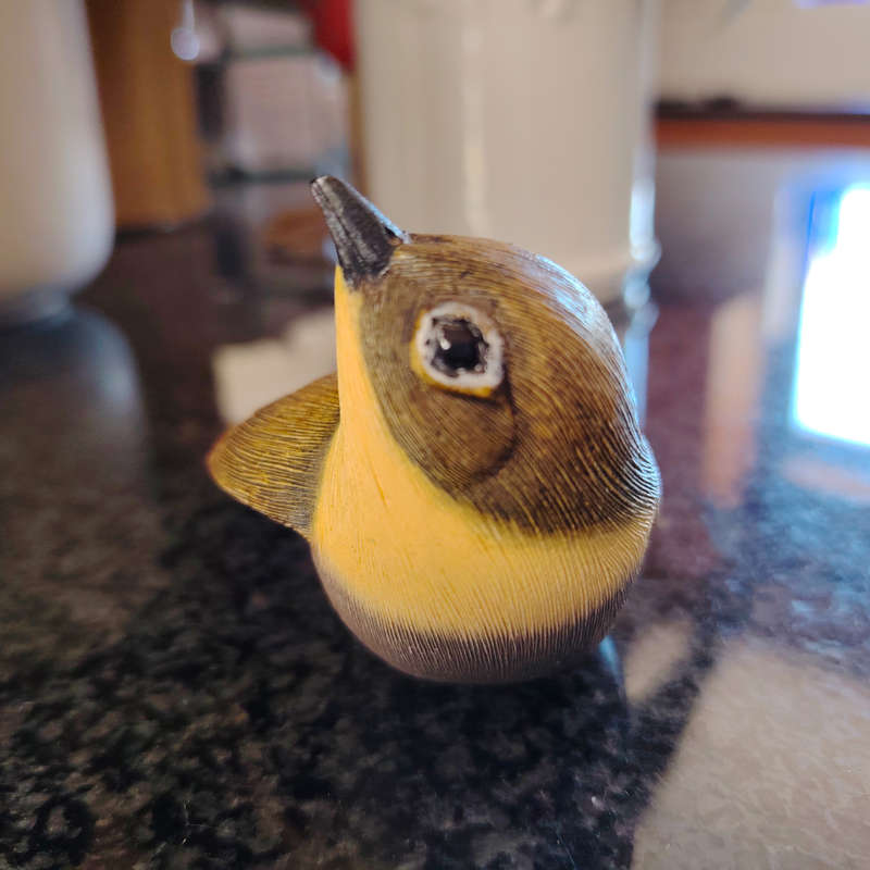 Feathers of Knysna Friends hand painted Common Yellowthroat