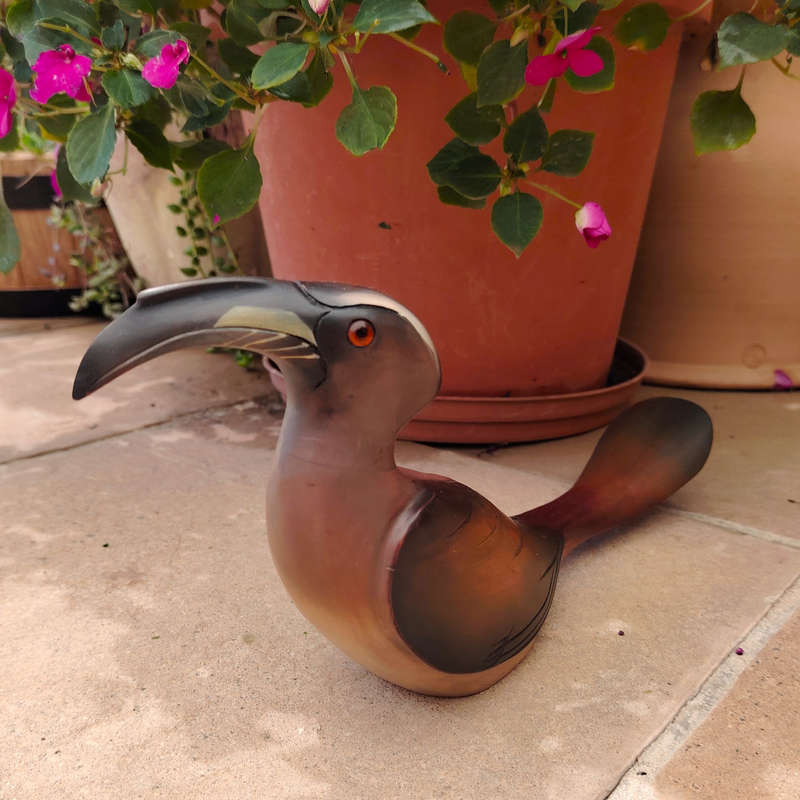 Feathers of Knysna carved and hand painted Female Grey Hornbill Ltd Bird