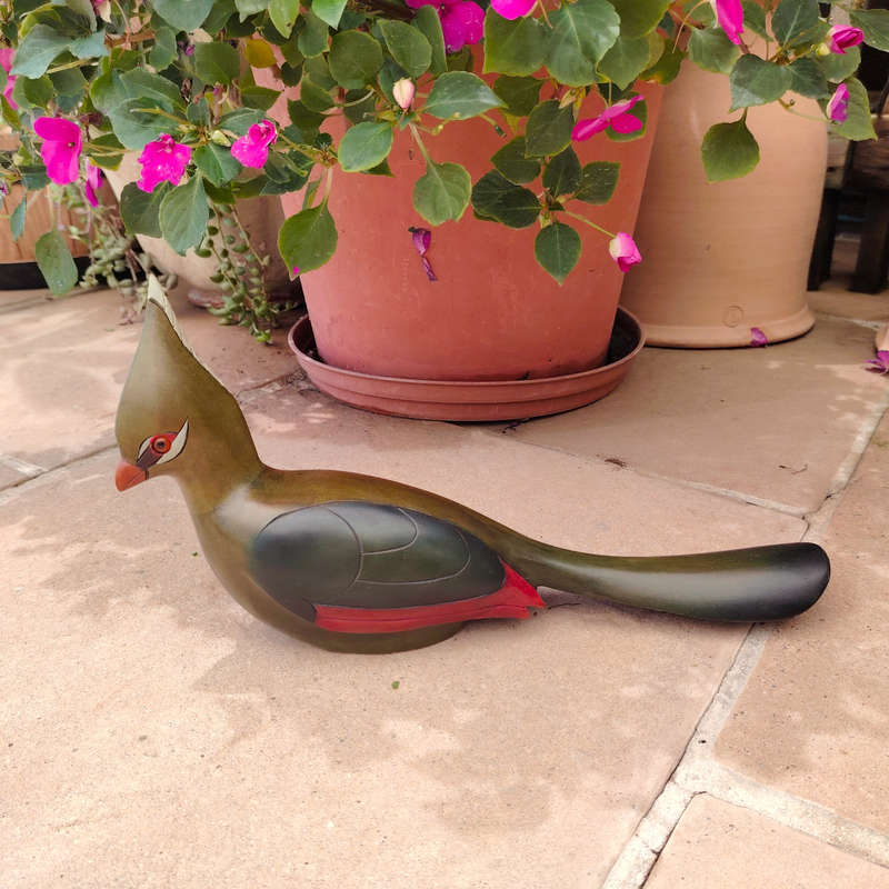 Feathers of Knysna carved and hand painted Female Knysna Lourie Ltd Bird