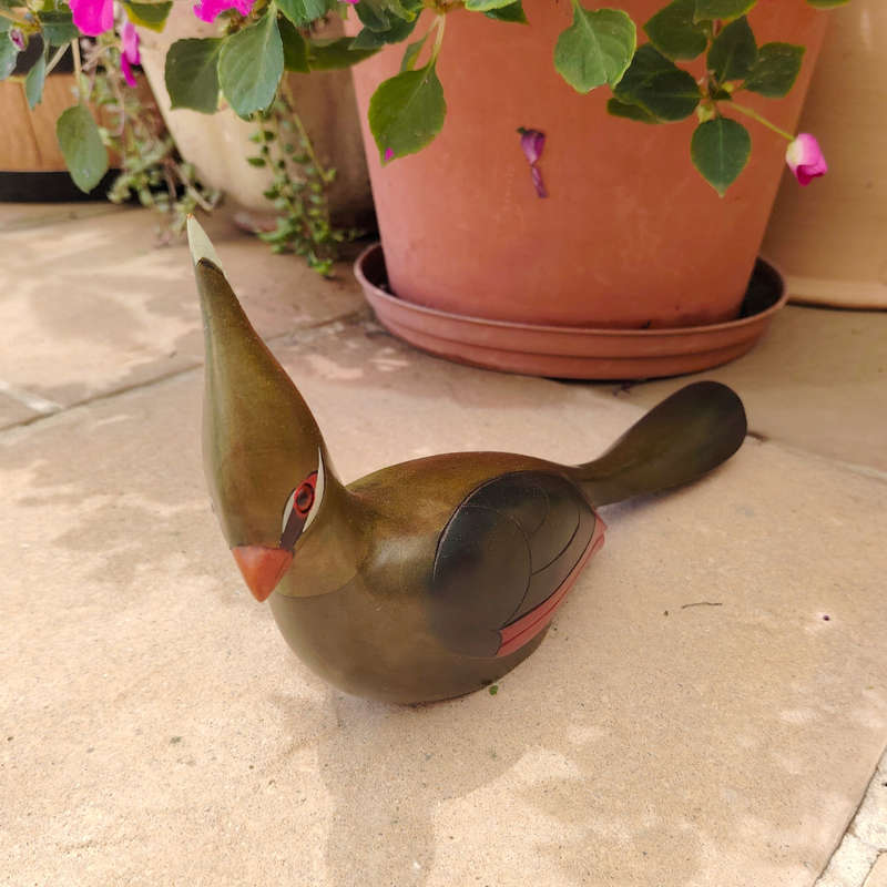 Feathers of Knysna carved and hand painted Female Knysna Lourie Ltd Bird