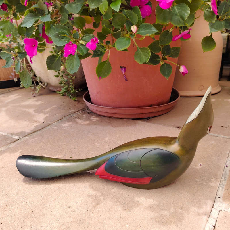 Feathers of Knysna carved and hand painted Female Knysna Lourie Ltd Bird
