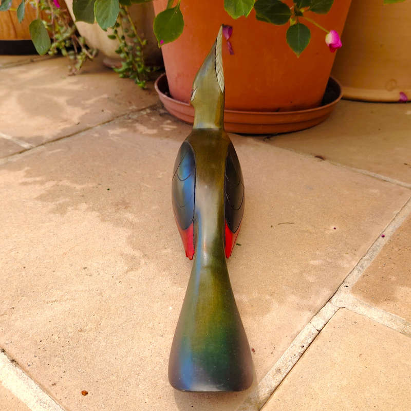 Feathers of Knysna carved and hand painted Female Knysna Lourie Ltd Bird