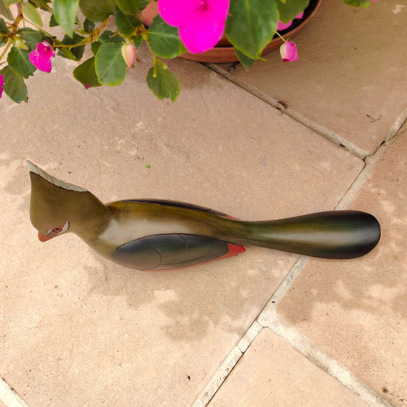 Feathers of Knysna carved and hand painted Female Knysna Lourie Ltd Bird