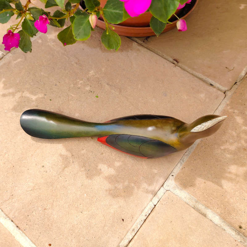 Feathers of Knysna carved and hand painted Female Knysna Lourie Ltd Bird