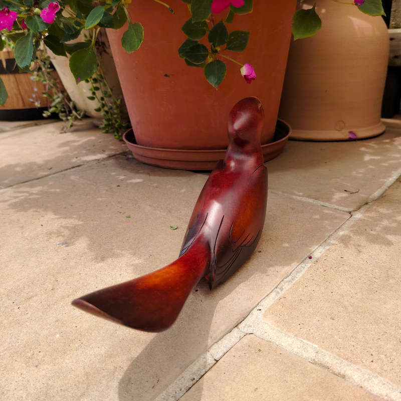 Feathers of Knysna carved and hand painted Male Hornbill Ltd Bird