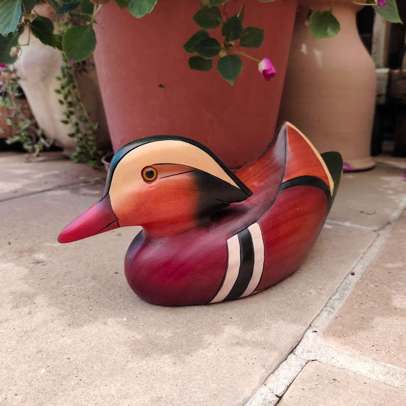 Feathers of Knysna carved and hand painted Female Mandarin Duck Ltd Bird