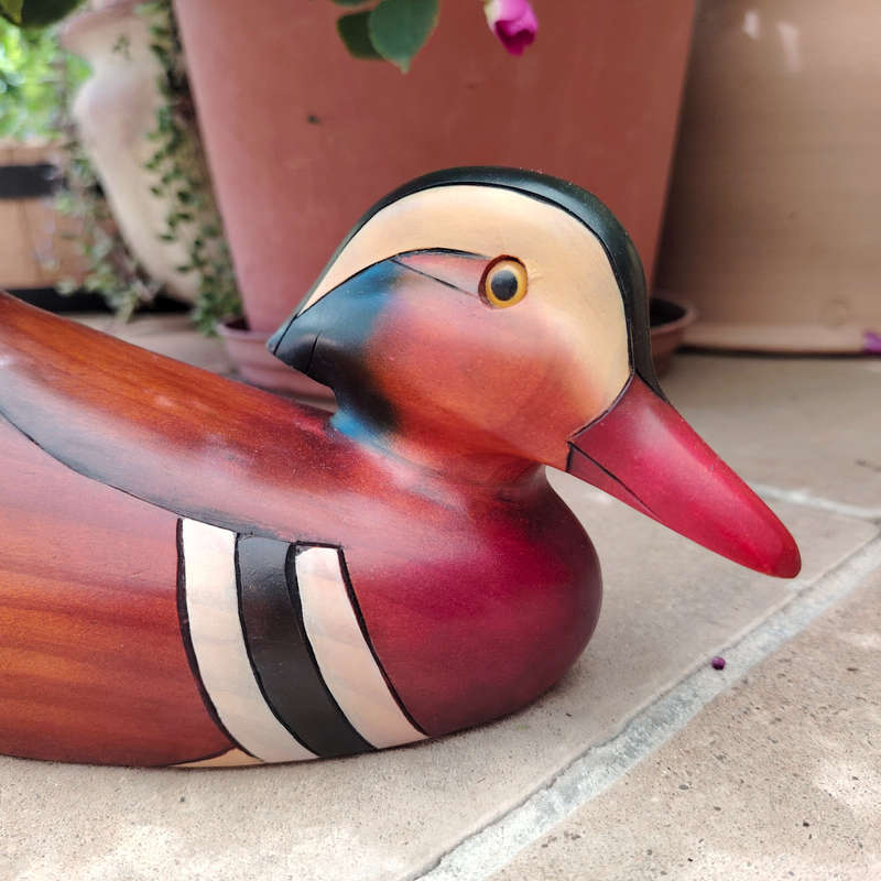 Feathers of Knysna carved and hand painted Female Mandarin Duck Ltd Bird