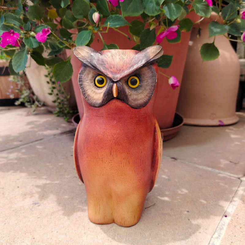 Feathers of Knysna carved and hand painted Male Owl Ltd Bird