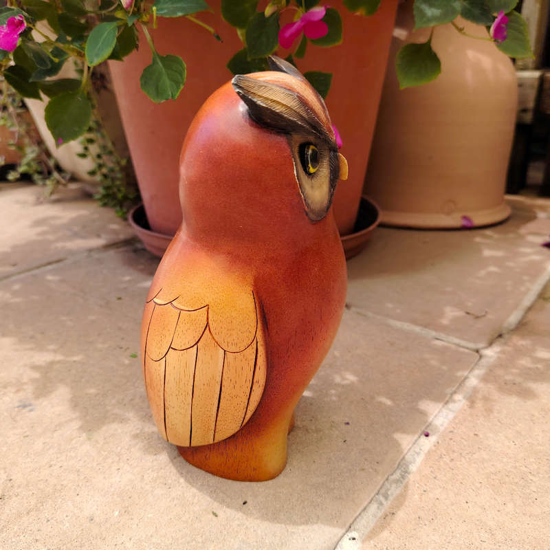 Feathers of Knysna carved and hand painted Male Owl Ltd Bird